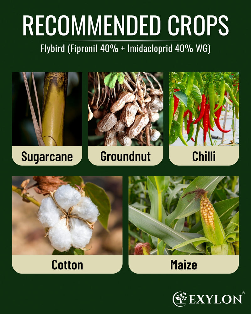 EXYLON FLYBIRD INSECTICIDE - Exylon Pesticides