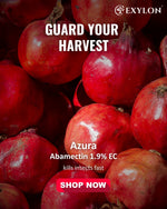 EXYLON AZURA INSECTICIDE - Exylon Pesticides