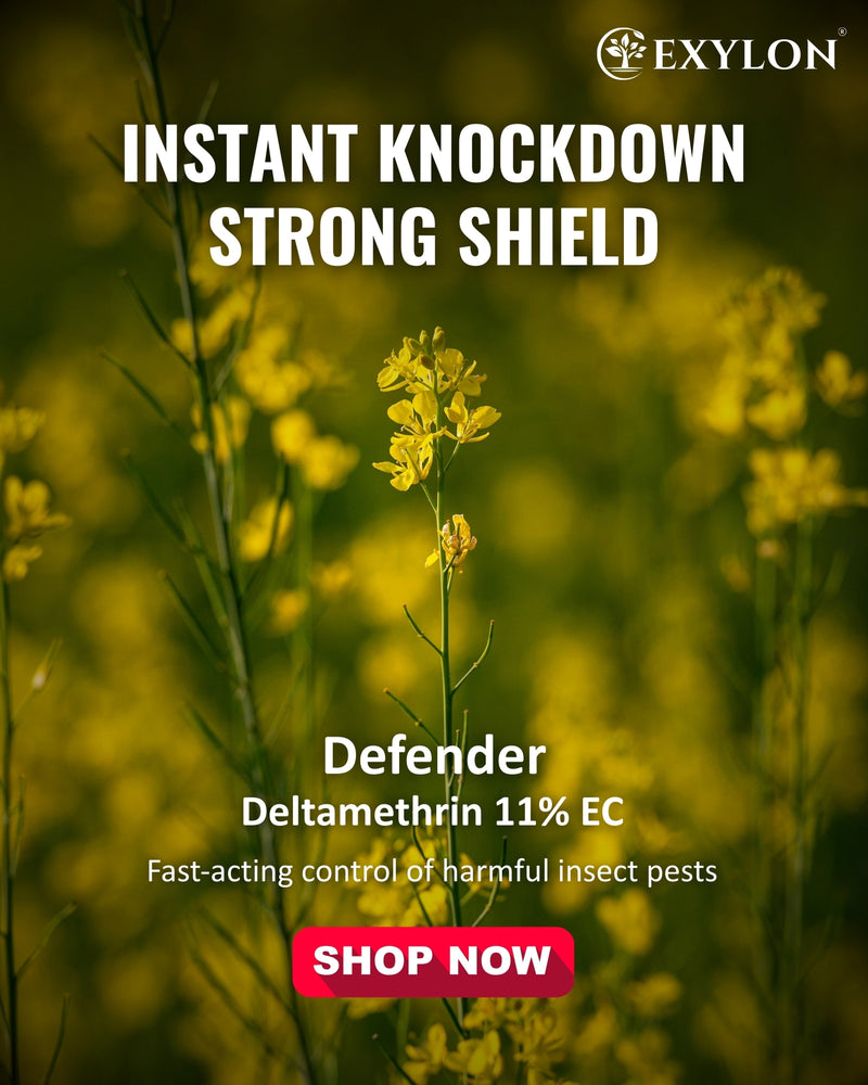 EXYLON DEFENDER INSECTICIDE - Exylon Pesticides
