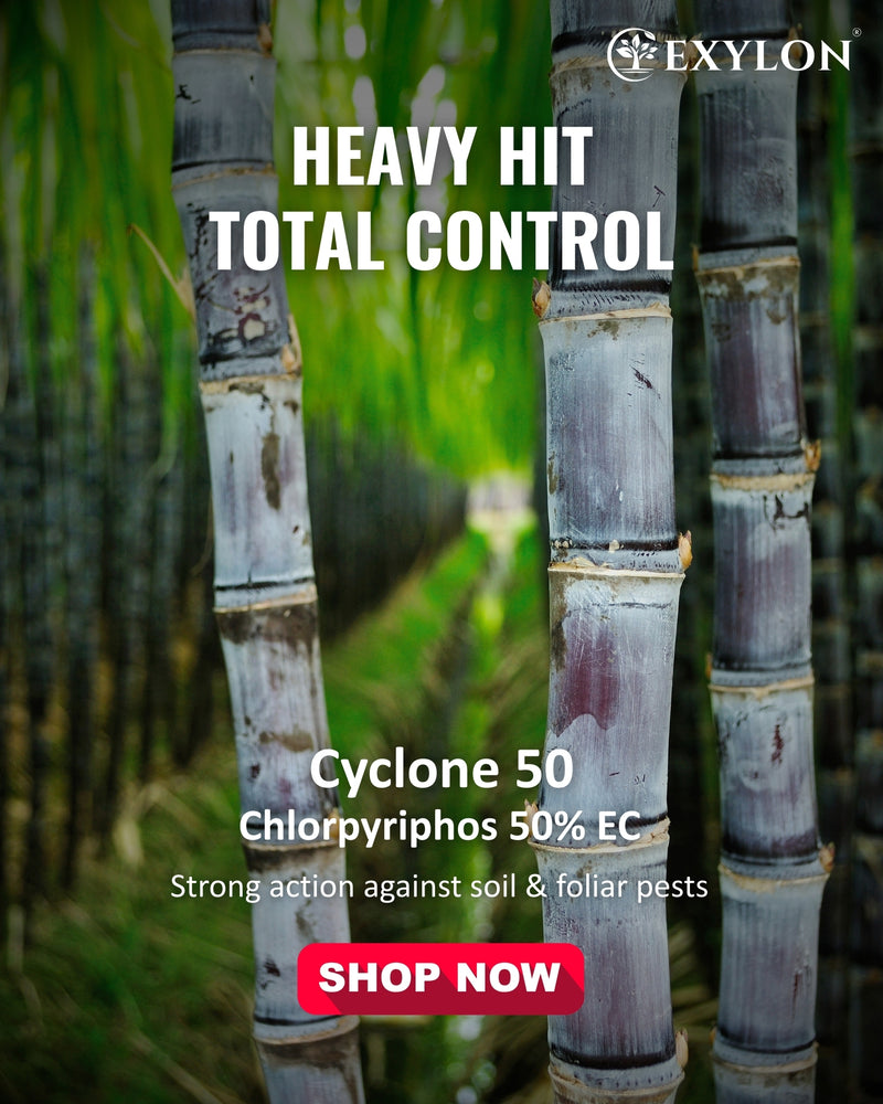 EXYLON CYCLONE 50 INSECTICIDE - Exylon Pesticides