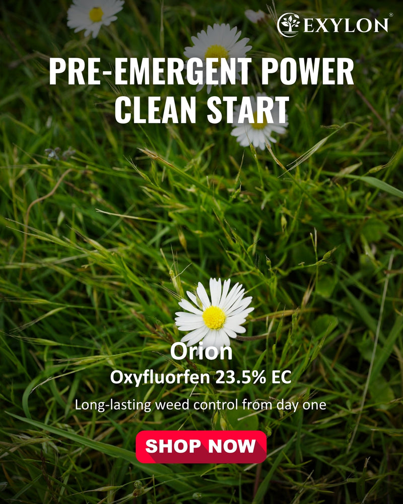 EXYLON ORION HERBICIDE - Exylon Pesticides