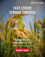 EXYLON EXYPRIDE 20 INSECTICIDE - Exylon Pesticides