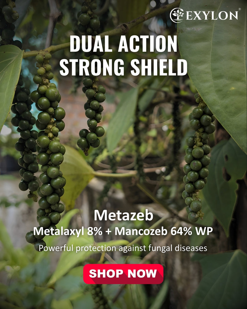 EXYLON METAZEB FUNGICIDE - Exylon Pesticides