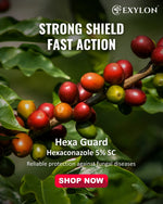 EXYLON HEXAGUARD FUNGICIDE - Exylon Pesticides