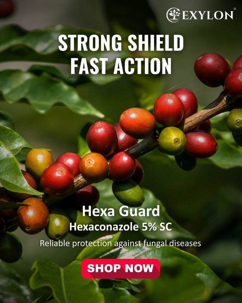 EXYLON HEXAGUARD FUNGICIDE - Exylon Pesticides