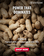 EXYLON FLYBIRD INSECTICIDE - Exylon Pesticides
