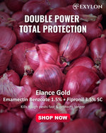 EXYLON ELANCE GOLD INSECTICIDE - Exylon Pesticides