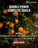 EXYLON AETHER FUNGICIDE - Exylon Pesticides