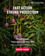EXYLON THIAPOWER INSECTICIDE - Exylon Pesticides