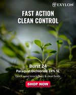 EXYLON BURST 24 HERBICIDE - Exylon Pesticides