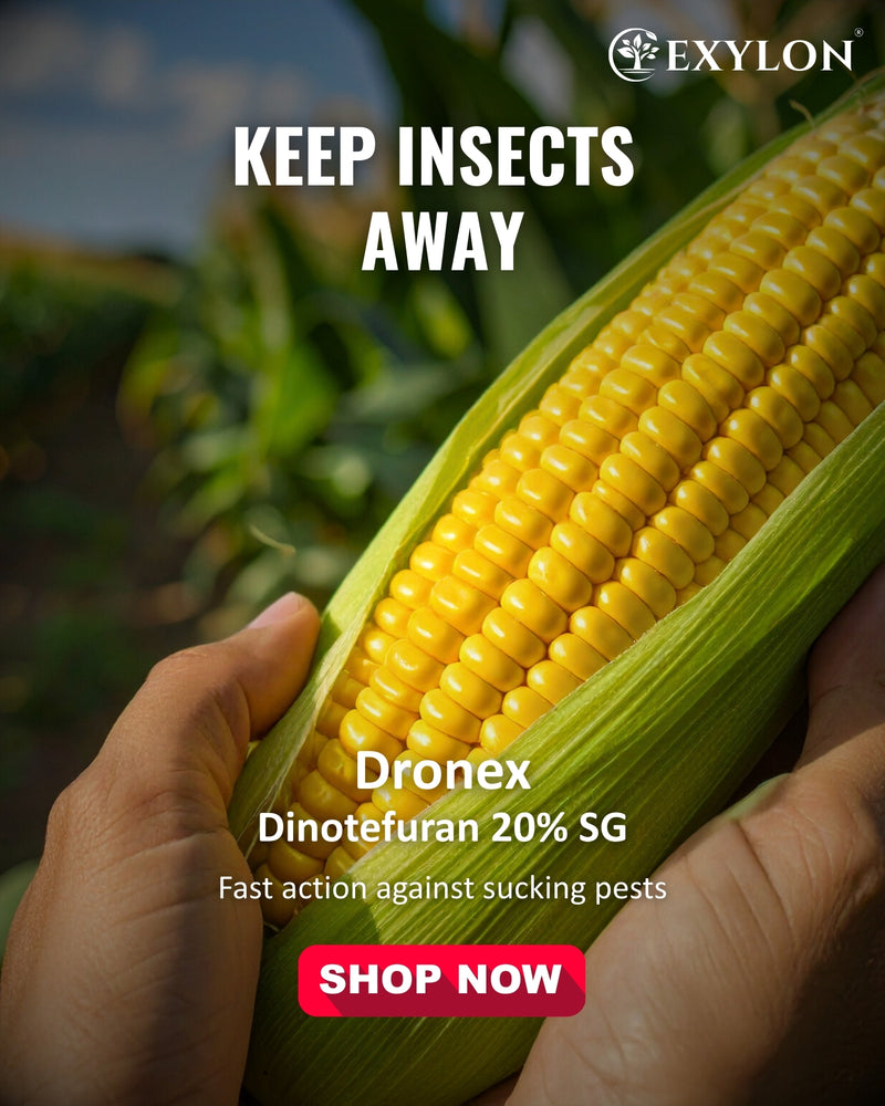 EXYLON DRONEX INSECTICIDE - Exylon Pesticides