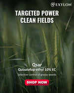 EXYLON QSAR HERBICIDE - Exylon Pesticides