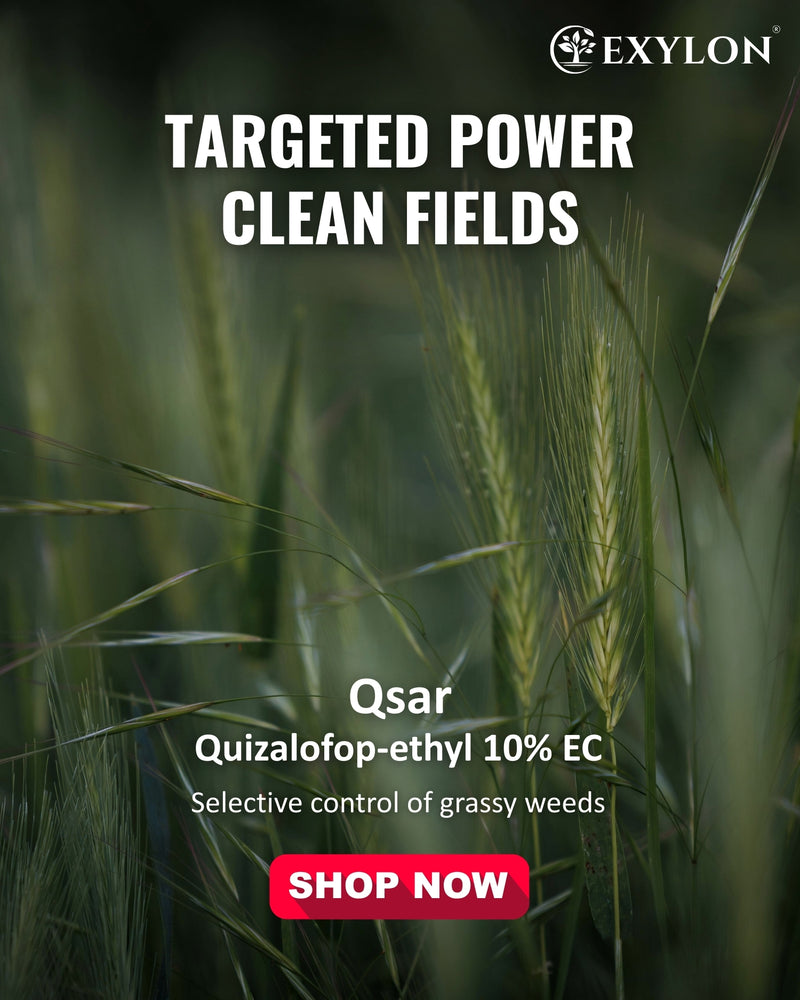 EXYLON QSAR HERBICIDE - Exylon Pesticides