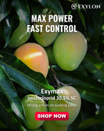 EXYLON EXYMAX INSECTICIDE - Exylon Pesticides