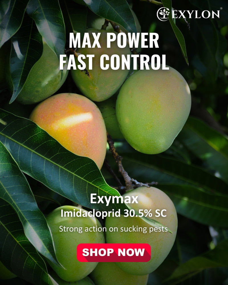 EXYLON EXYMAX INSECTICIDE - Exylon Pesticides
