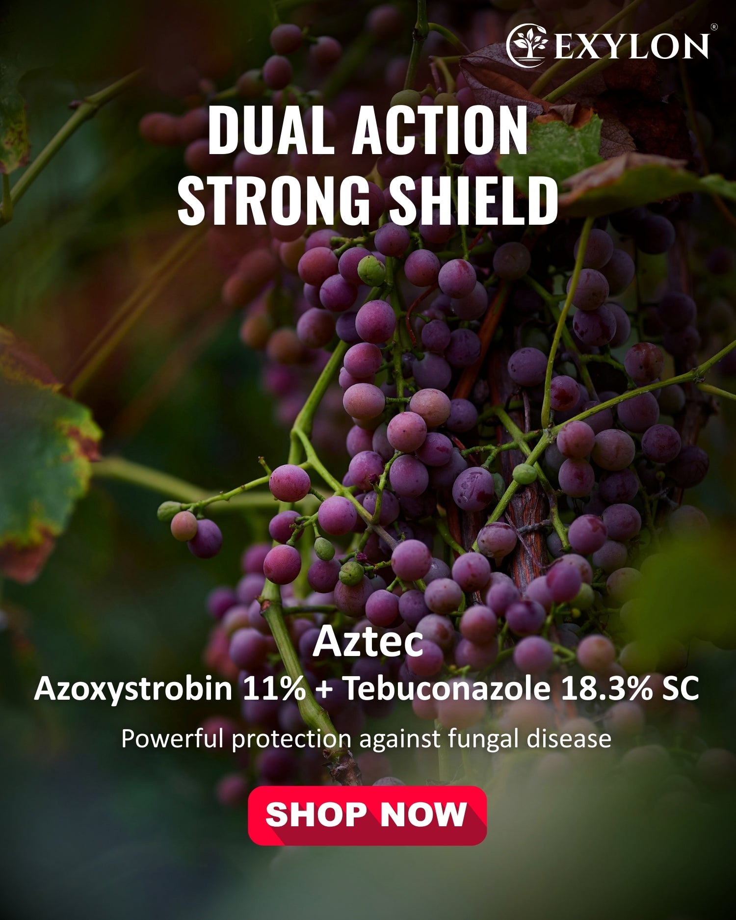 EXYLON AZTEC FUNGICIDE - Exylon Pesticides