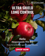 EXYLON HELIX FUNGICIDE - Exylon Pesticides