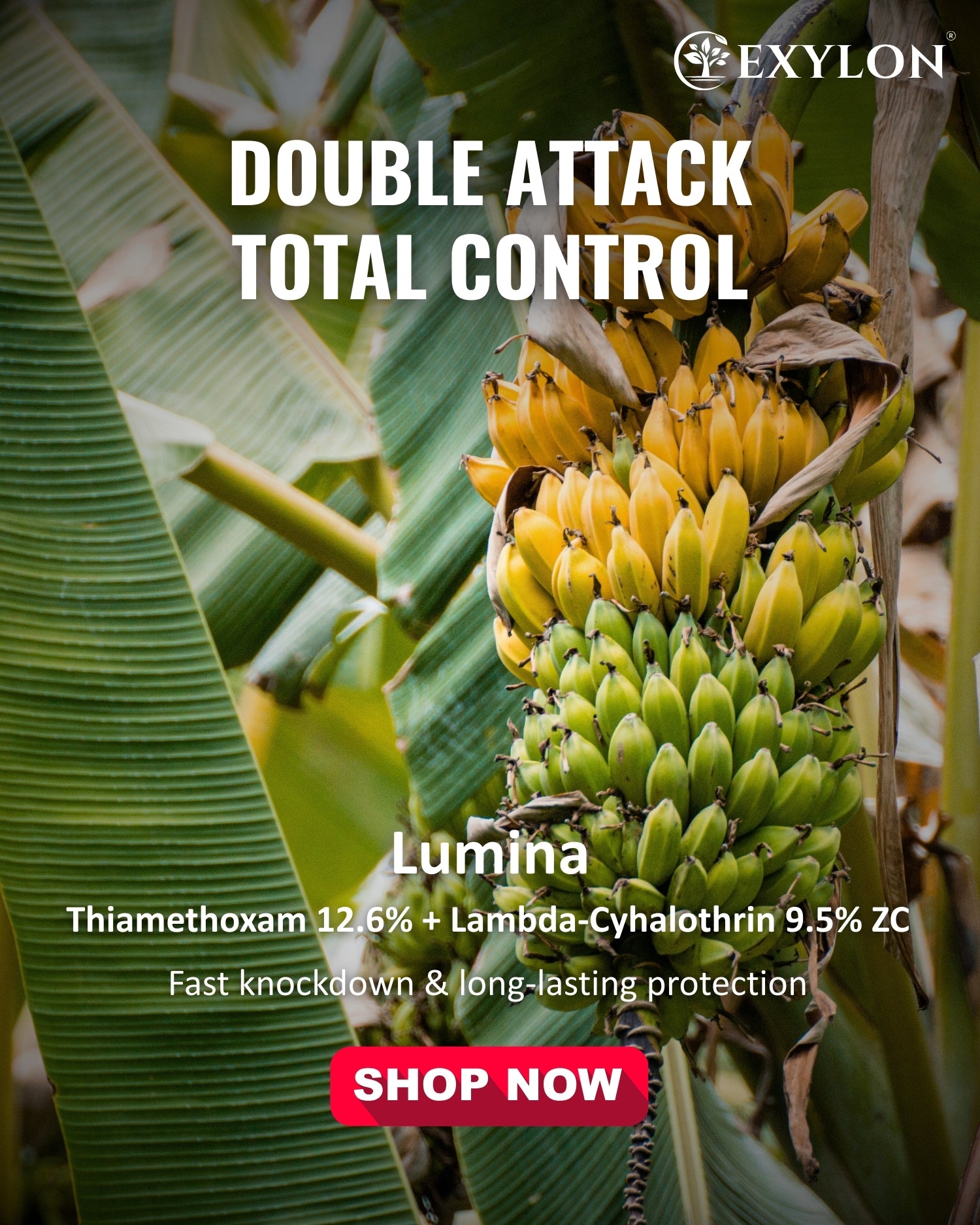 EXYLON LUMINA INSECTICIDE - Exylon Pesticides