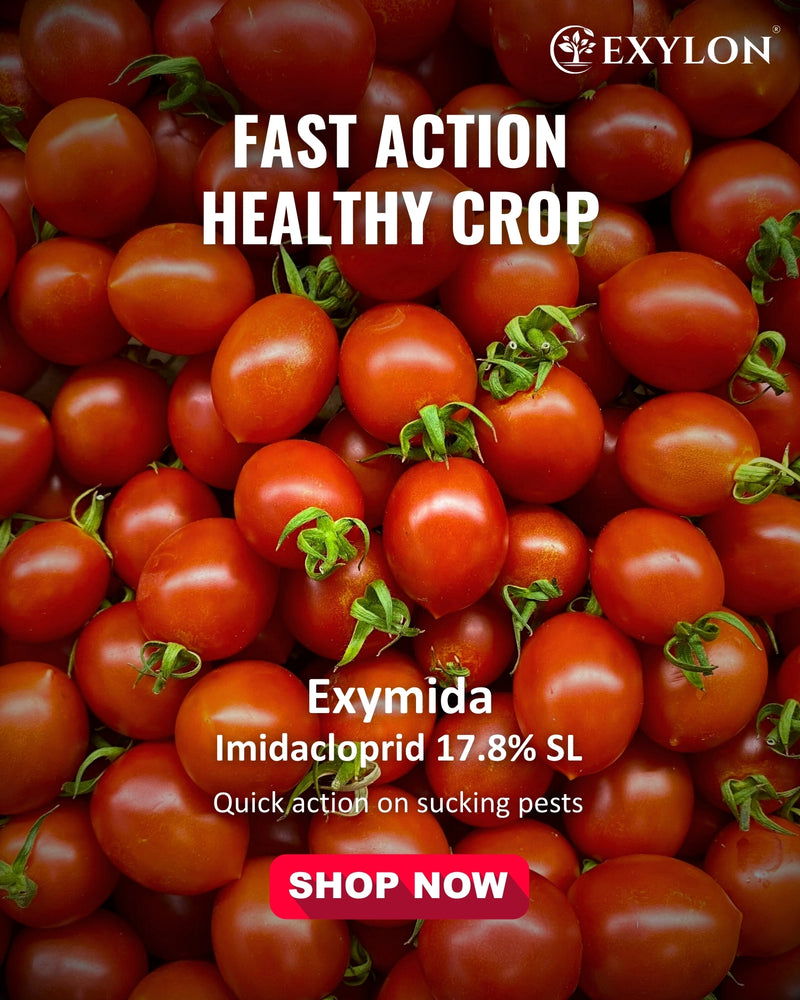EXYLON EXYMIDA INSECTICIDE - Exylon Pesticides