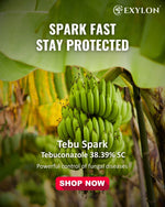 EXYLON TEBUSPARK FUNGICIDE - Exylon Pesticides
