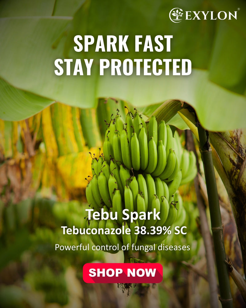 EXYLON TEBUSPARK FUNGICIDE - Exylon Pesticides