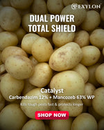 EXYLON CATALYST FUNGICIDE - Exylon Pesticides