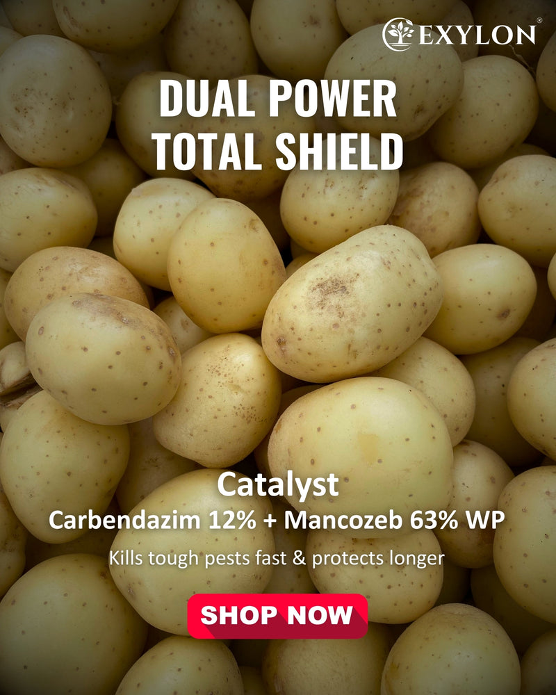 EXYLON CATALYST FUNGICIDE - Exylon Pesticides