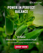 EXYLON ECLIPSE INSECTICIDE - Exylon Pesticides