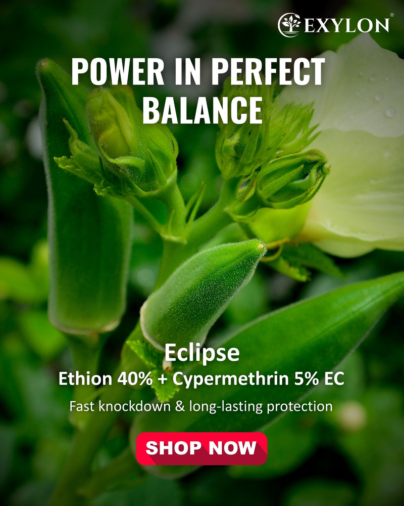 EXYLON ECLIPSE INSECTICIDE - Exylon Pesticides