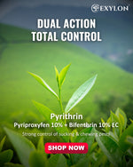 EXYLON PYRITHRIN INSECTICIDE - Exylon Pesticides