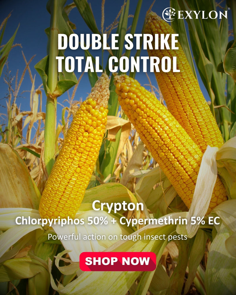 EXYLON CRYPTON INSECTICIDE - Exylon Pesticides