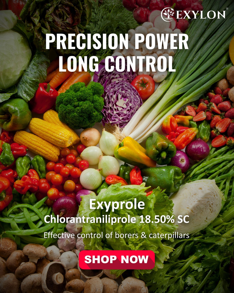 EXYLON EXYPROLE INSECTICIDE - Exylon Pesticides