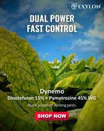 EXYLON DYNEMO INSECTICIDE - Exylon Pesticides