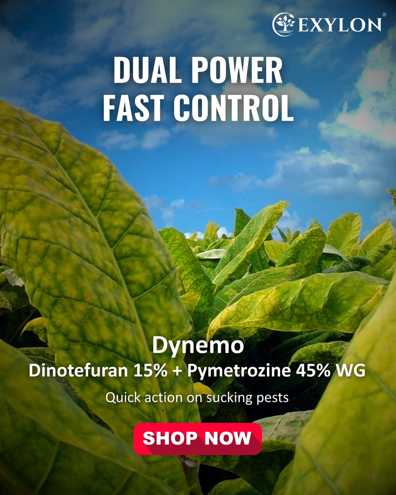 EXYLON DYNEMO INSECTICIDE - Exylon Pesticides