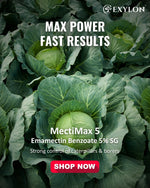 EXYLON MECTIMAX 5 INSECTICIDE - Exylon Pesticides