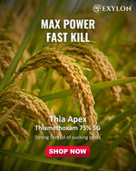 EXYLON THIA APEX INSECTICIDE - Exylon Pesticides