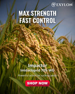 EXYLON IMPACTOR INSECTICIDE - Exylon Pesticides