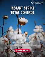 EXYLON THUNDER INSECTICIDE - Exylon Pesticides