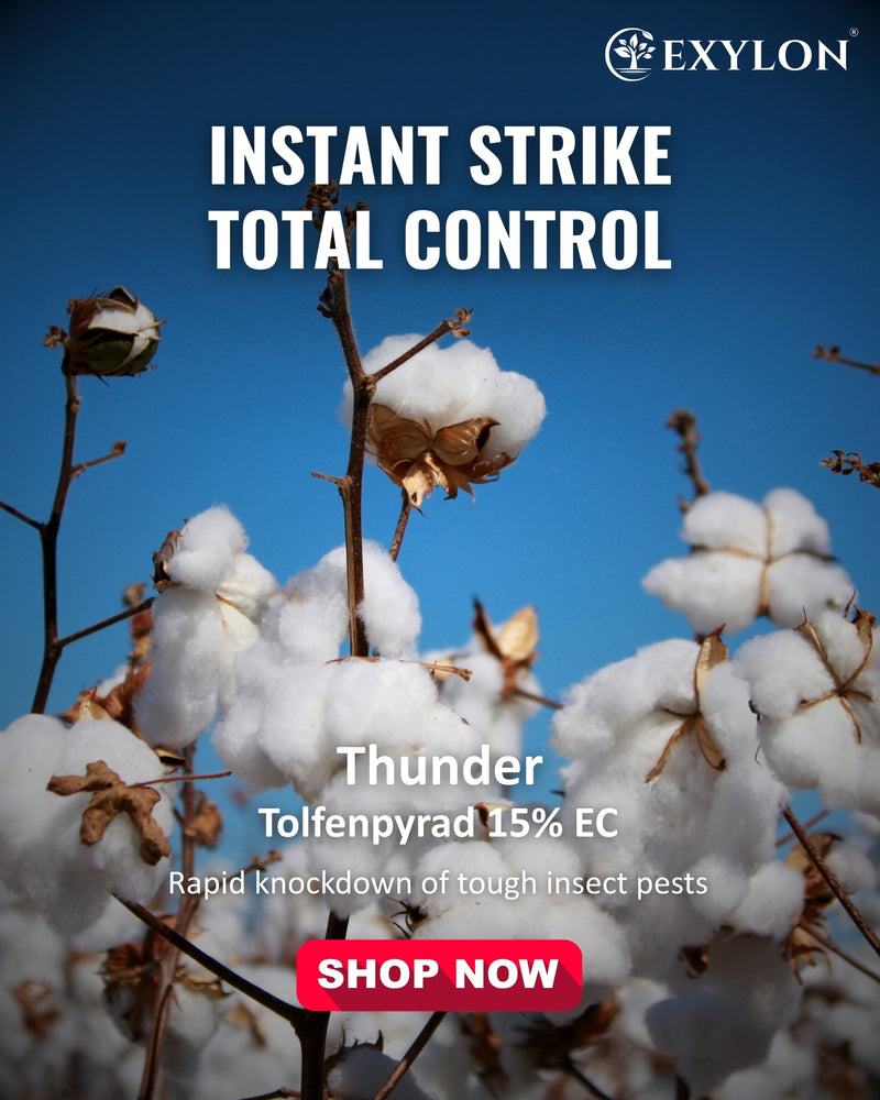 EXYLON THUNDER INSECTICIDE - Exylon Pesticides
