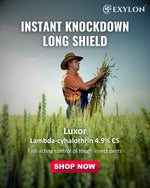 EXYLON LUXOR INSECTICIDE - Exylon Pesticides