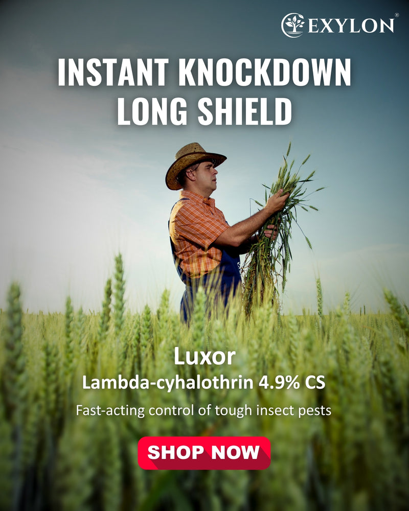 EXYLON LUXOR INSECTICIDE - Exylon Pesticides