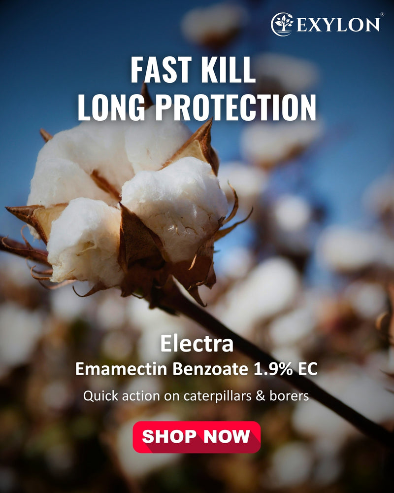 EXYLON ELECTRA INSECTICIDE - Exylon Pesticides