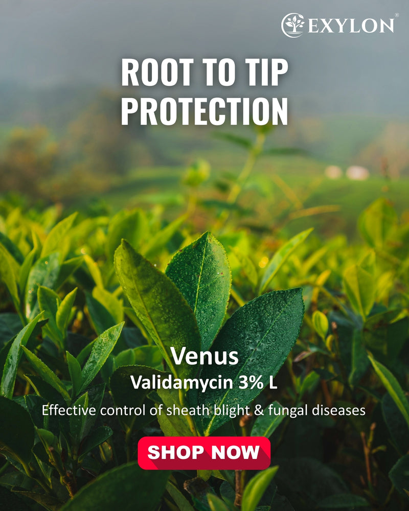 EXYLON VENUS FUNGICIDE - Exylon Pesticides