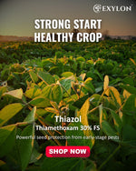 EXYLON THIAZOL INSECTICIDE - Exylon Pesticides