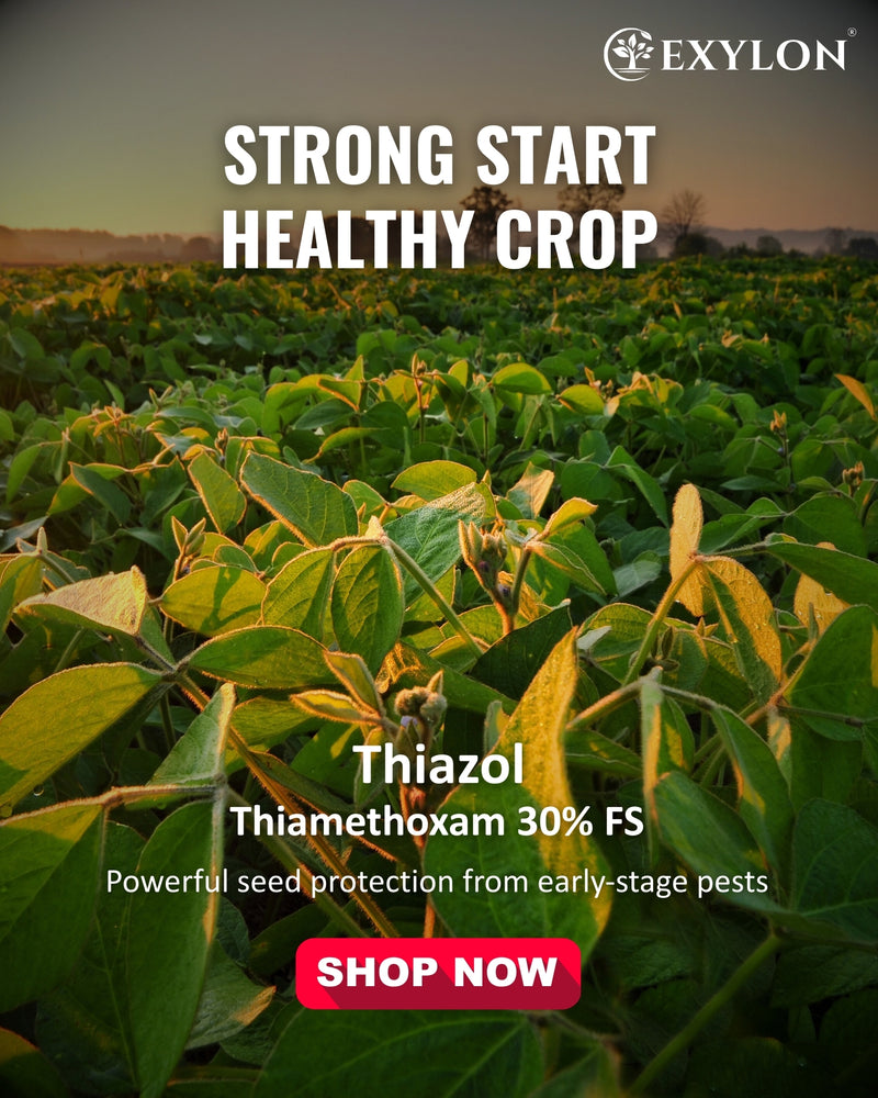 EXYLON THIAZOL INSECTICIDE - Exylon Pesticides