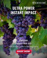EXYLON FALCON INSECTICIDE - Exylon Pesticides