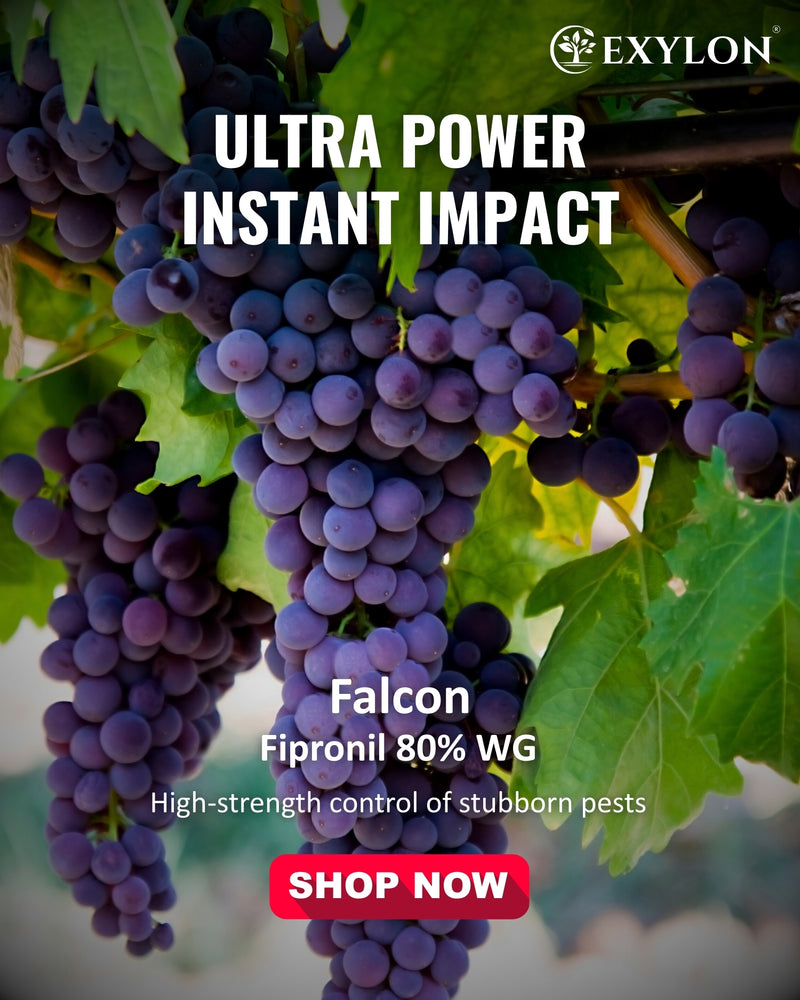 EXYLON FALCON INSECTICIDE - Exylon Pesticides