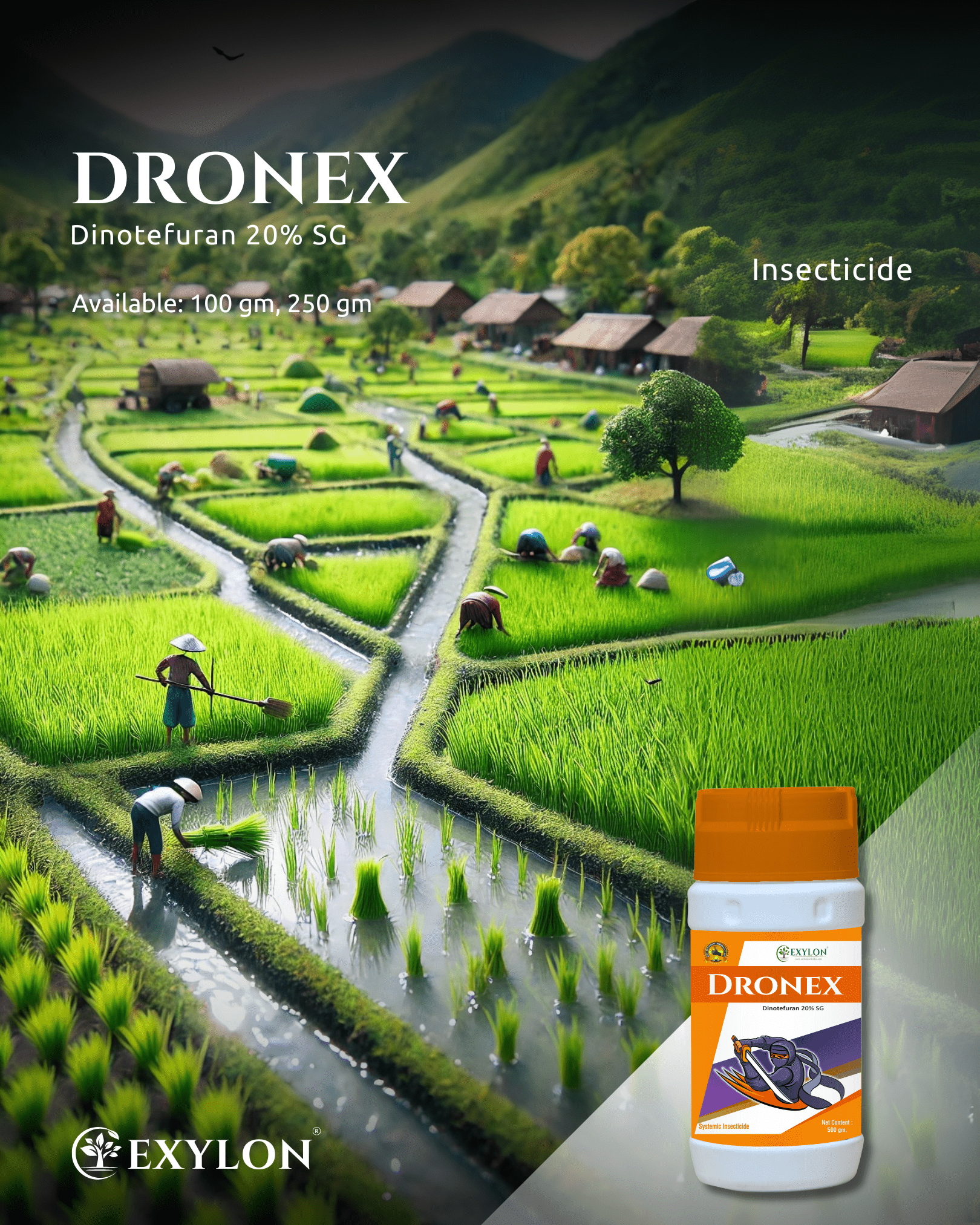 EXYLON DRONEX INSECTICIDE - Exylon Pesticides