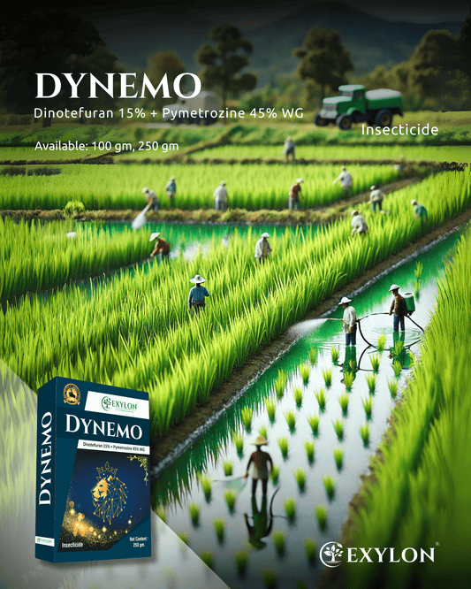EXYLON DYNEMO INSECTICIDE - Exylon Pesticides