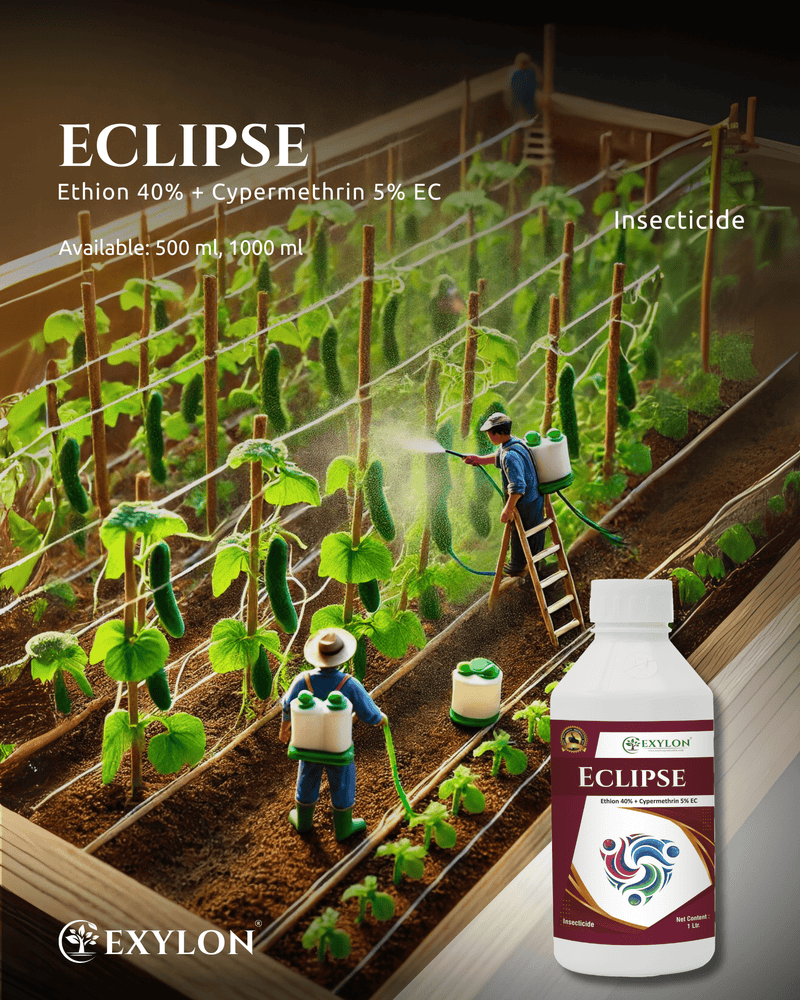 EXYLON ECLIPSE INSECTICIDE - Exylon Pesticides